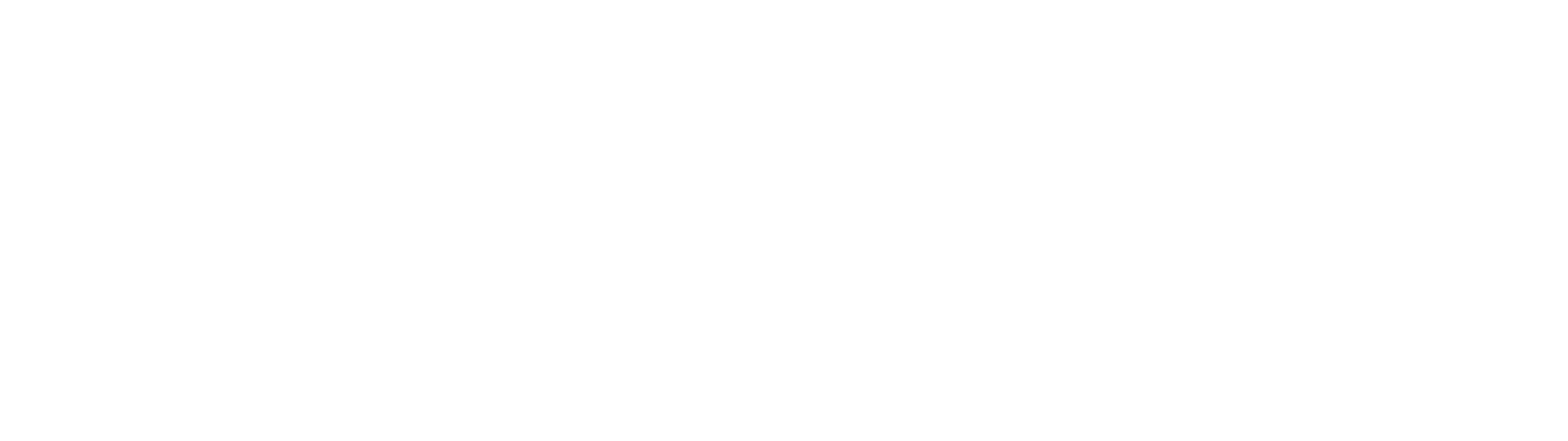 Partner Logo 6